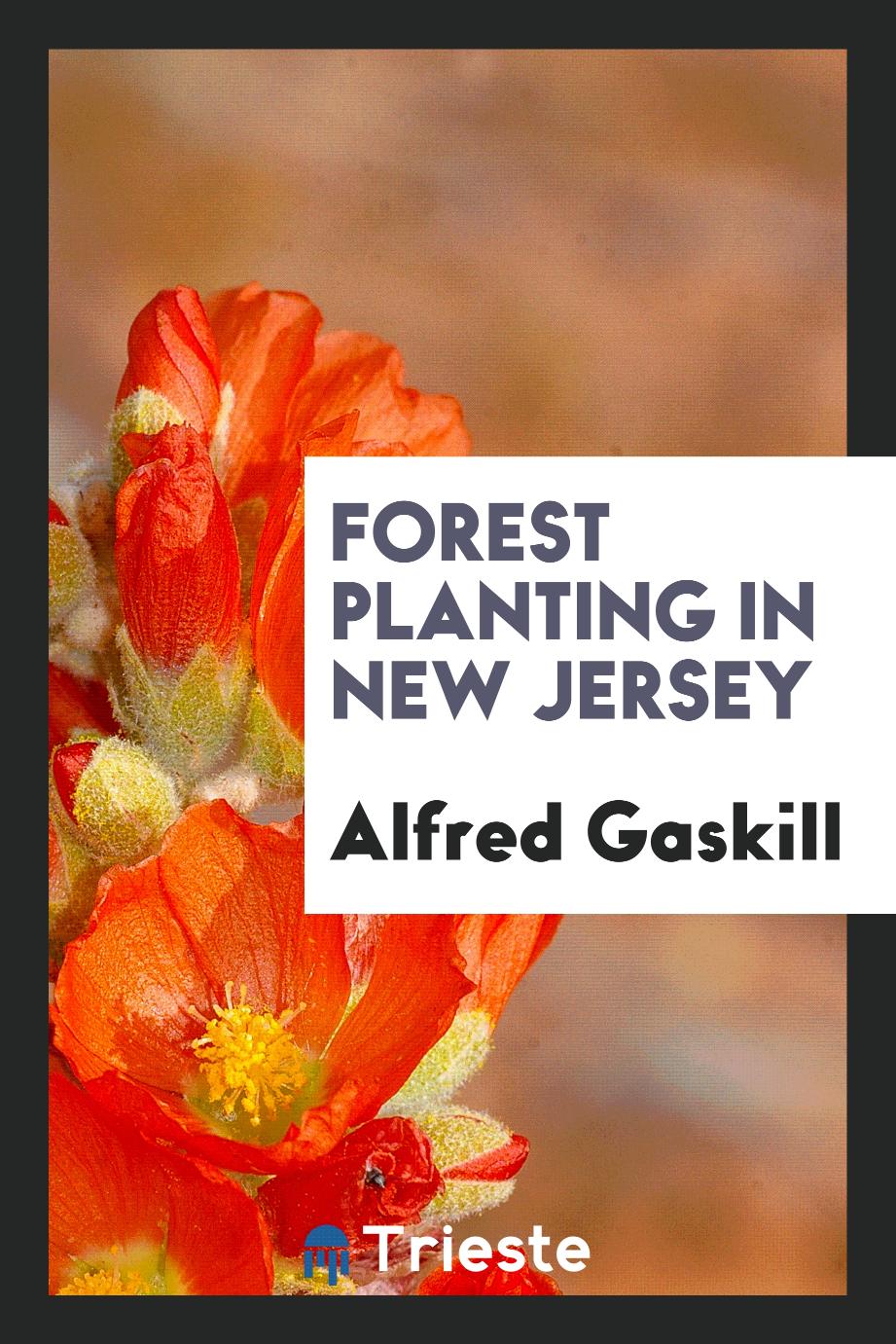 Forest Planting in New Jersey