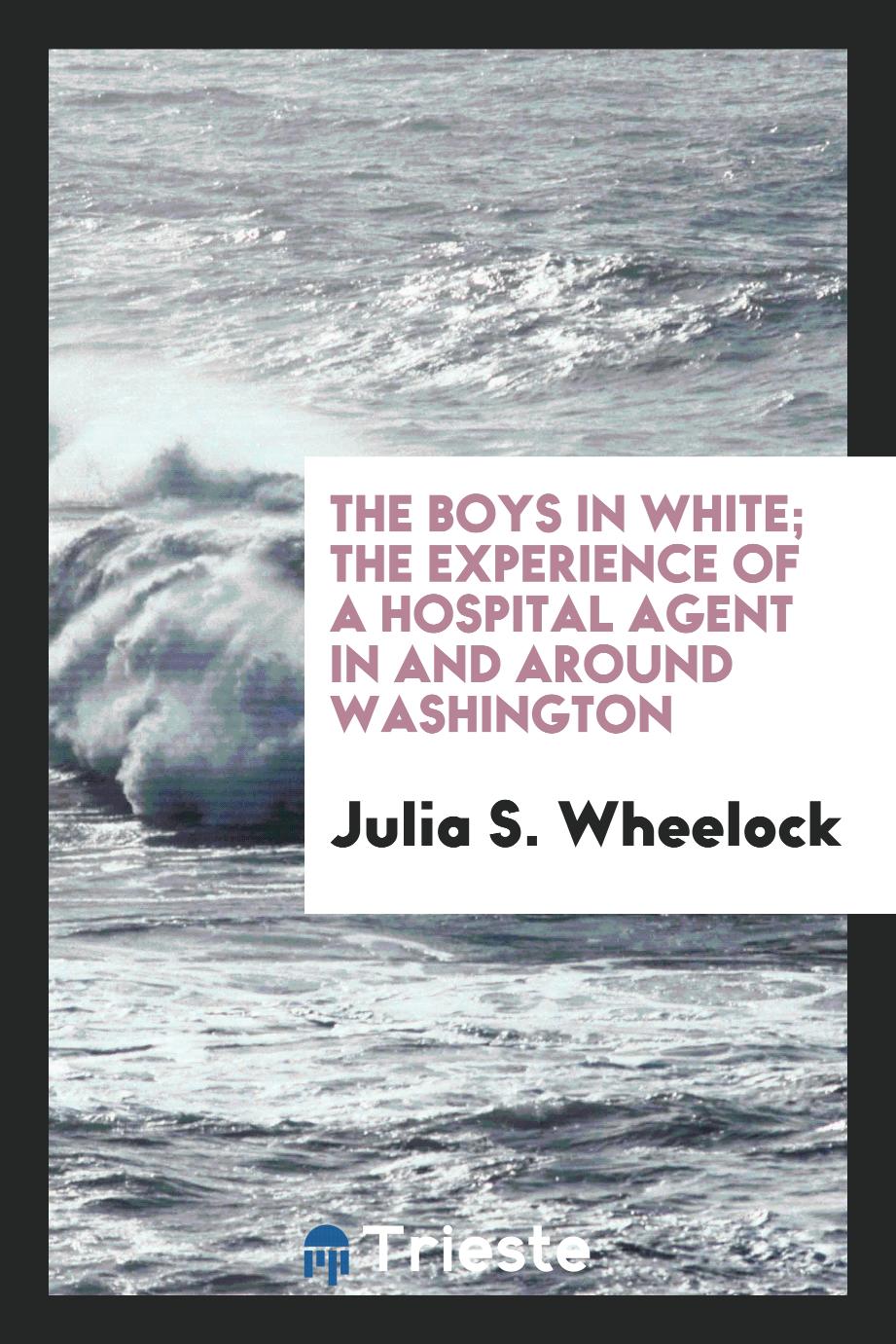 The boys in white; the experience of a hospital agent in and around Washington