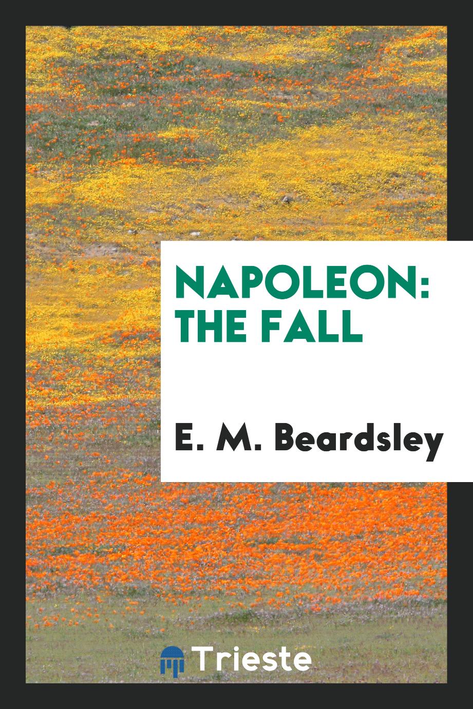 Napoleon: the fall
