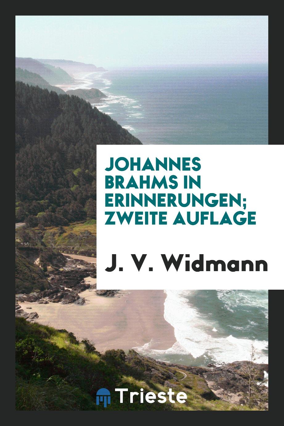 J. V. Widmann - Johannes Brahms in Erinnerungen; Zweite Auflage