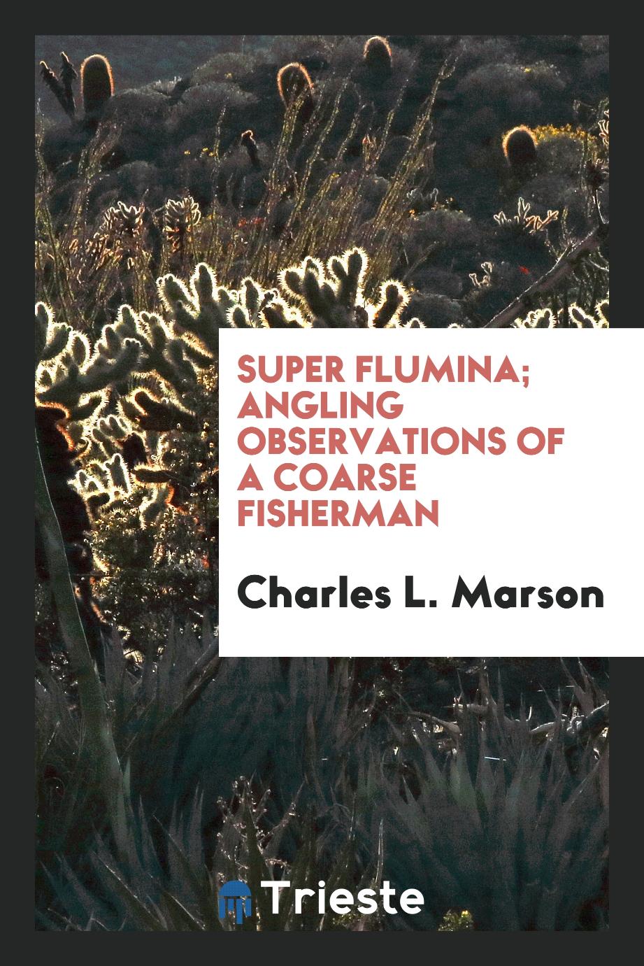 Super flumina; angling observations of a coarse fisherman