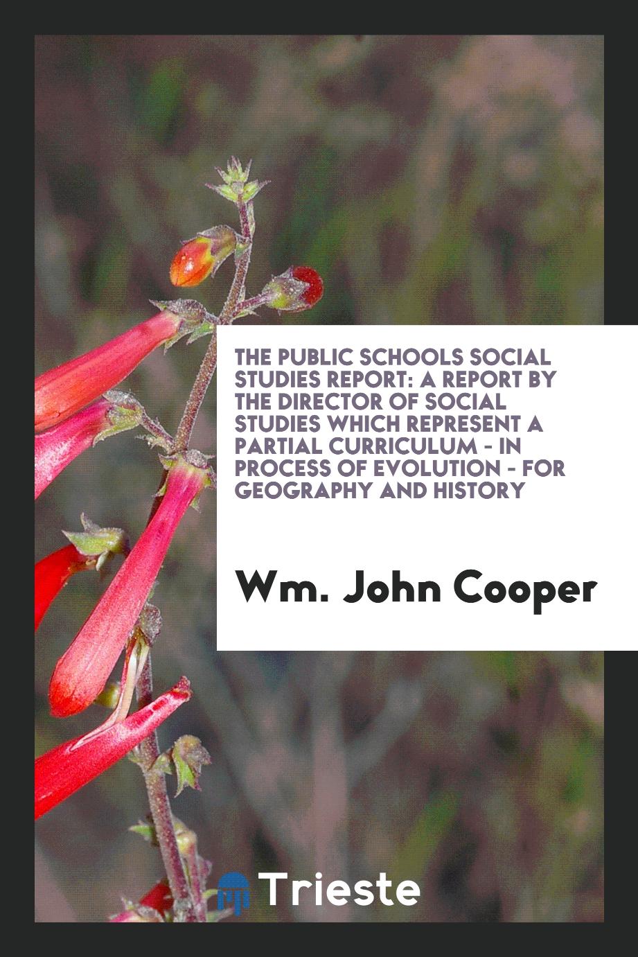 The Public Schools Social Studies Report: A Report by the Director of Social Studies Which Represent a Partial Curriculum - in Process of Evolution - for Geography and History