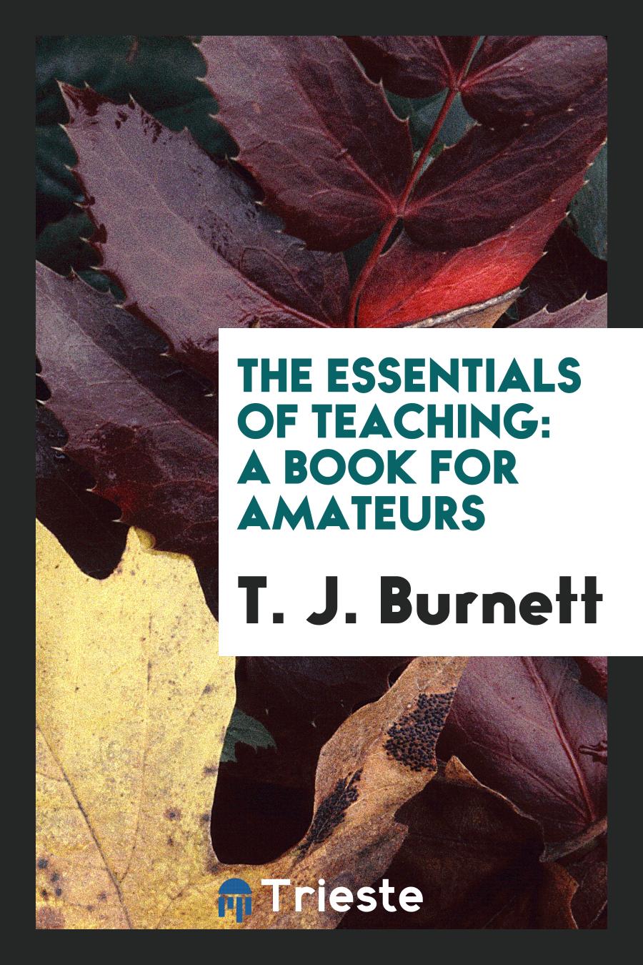 The Essentials of Teaching: A Book for Amateurs