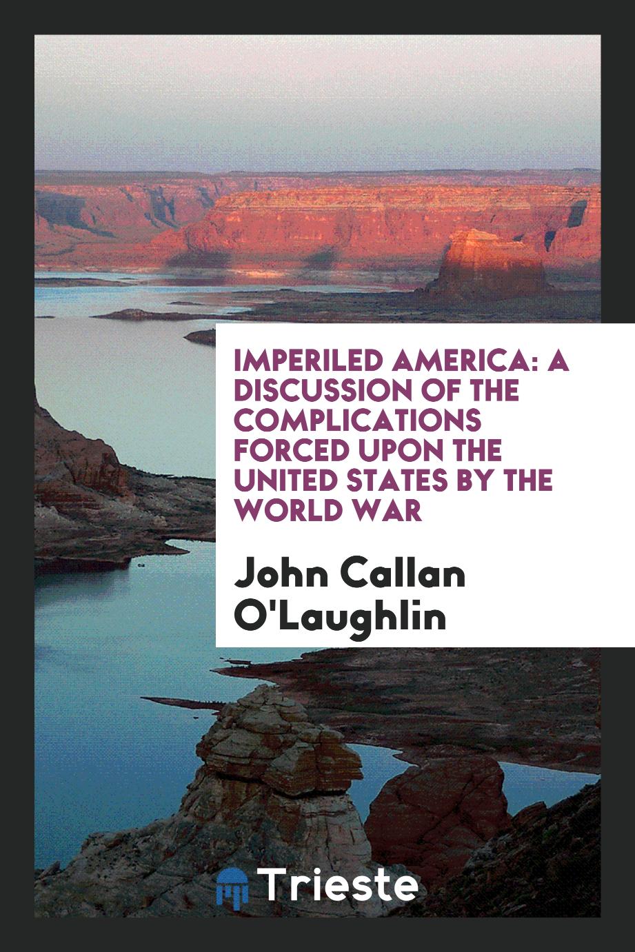 Imperiled America: A Discussion of the Complications Forced Upon the United States by the World War