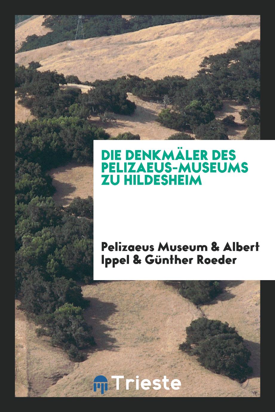Die Denkmäler des Pelizaeus-Museums zu Hildesheim