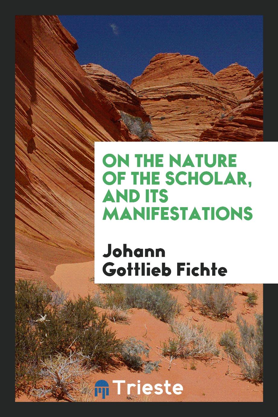 On the nature of the scholar, and its manifestations