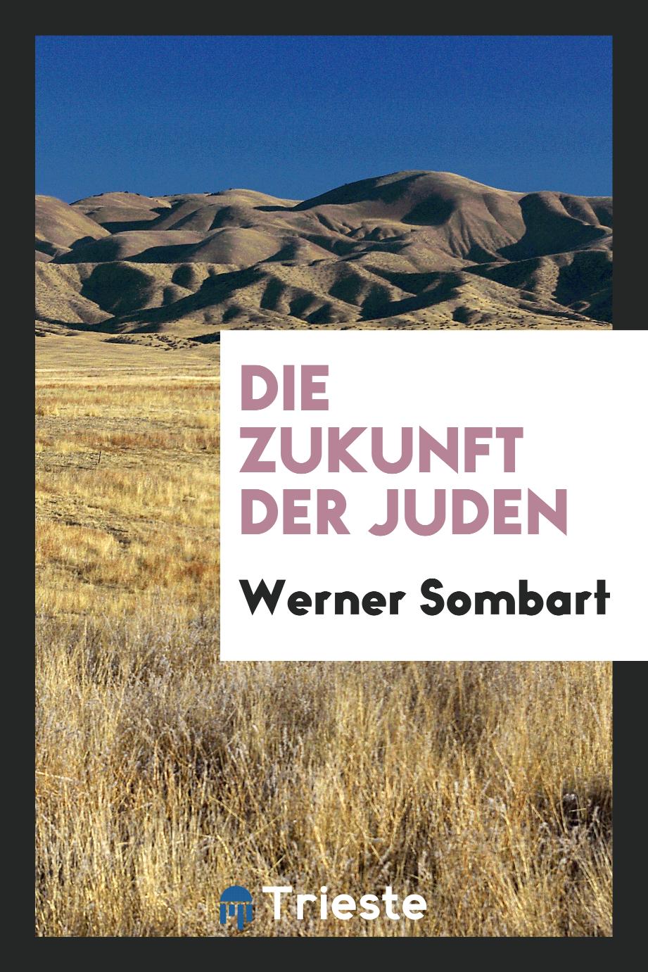 Werner Sombart - Die zukunft der Juden