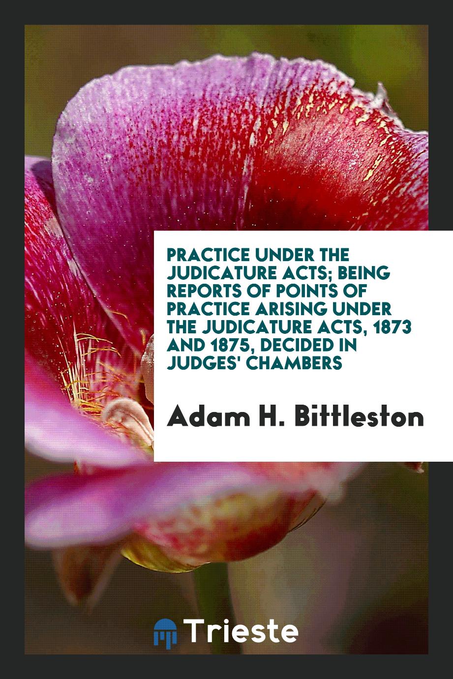 Practice Under the Judicature Acts; Being Reports of Points of Practice Arising Under the Judicature Acts, 1873 and 1875, Decided in Judges' Chambers
