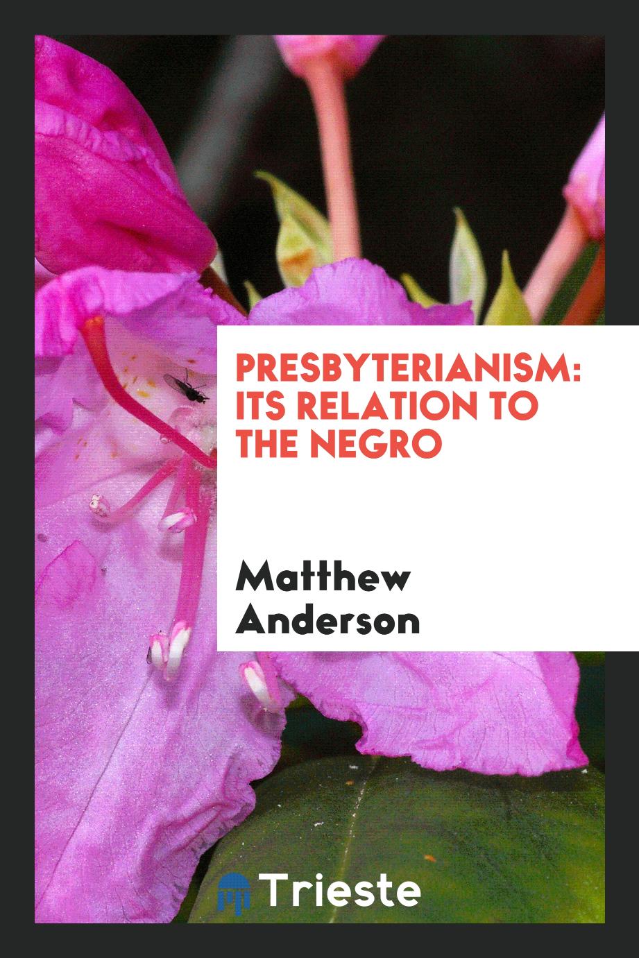 Presbyterianism: its relation to the Negro