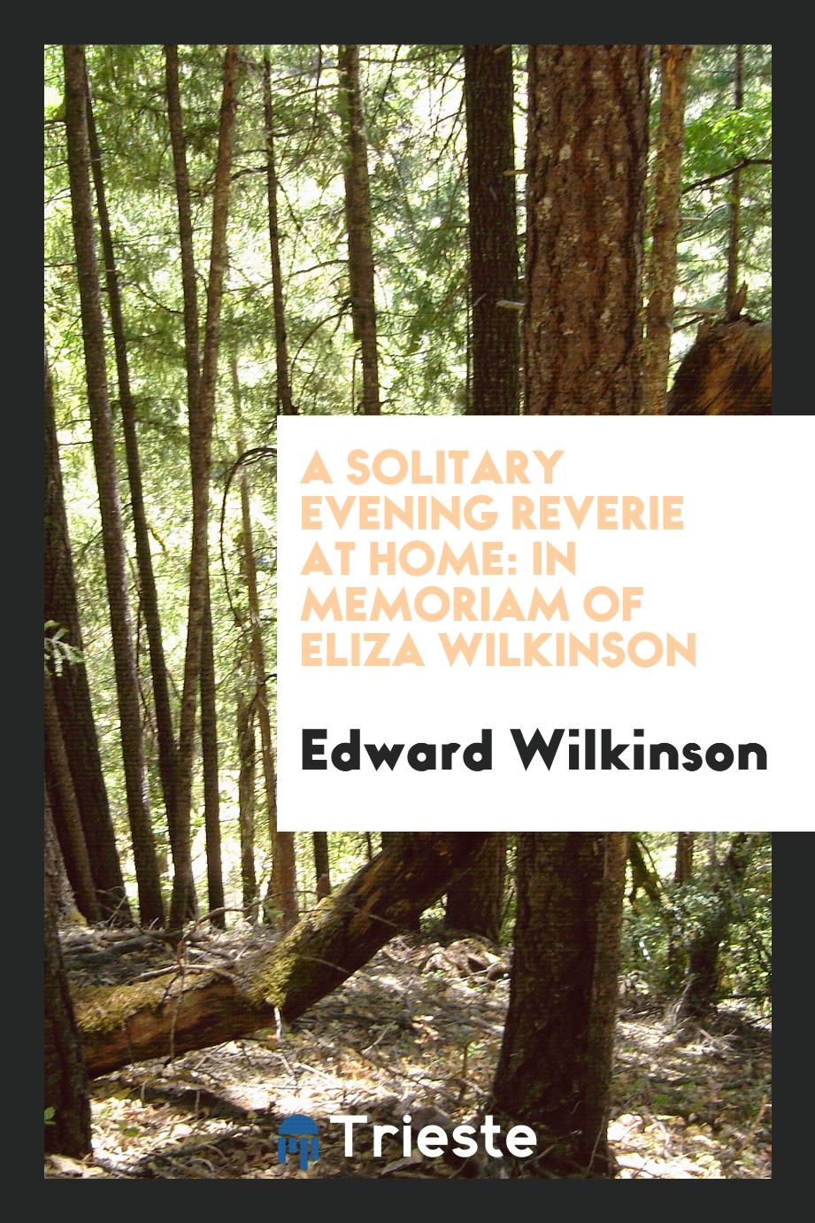Edward Wilkinson - A Solitary Evening Reverie at Home: In Memoriam of Eliza Wilkinson