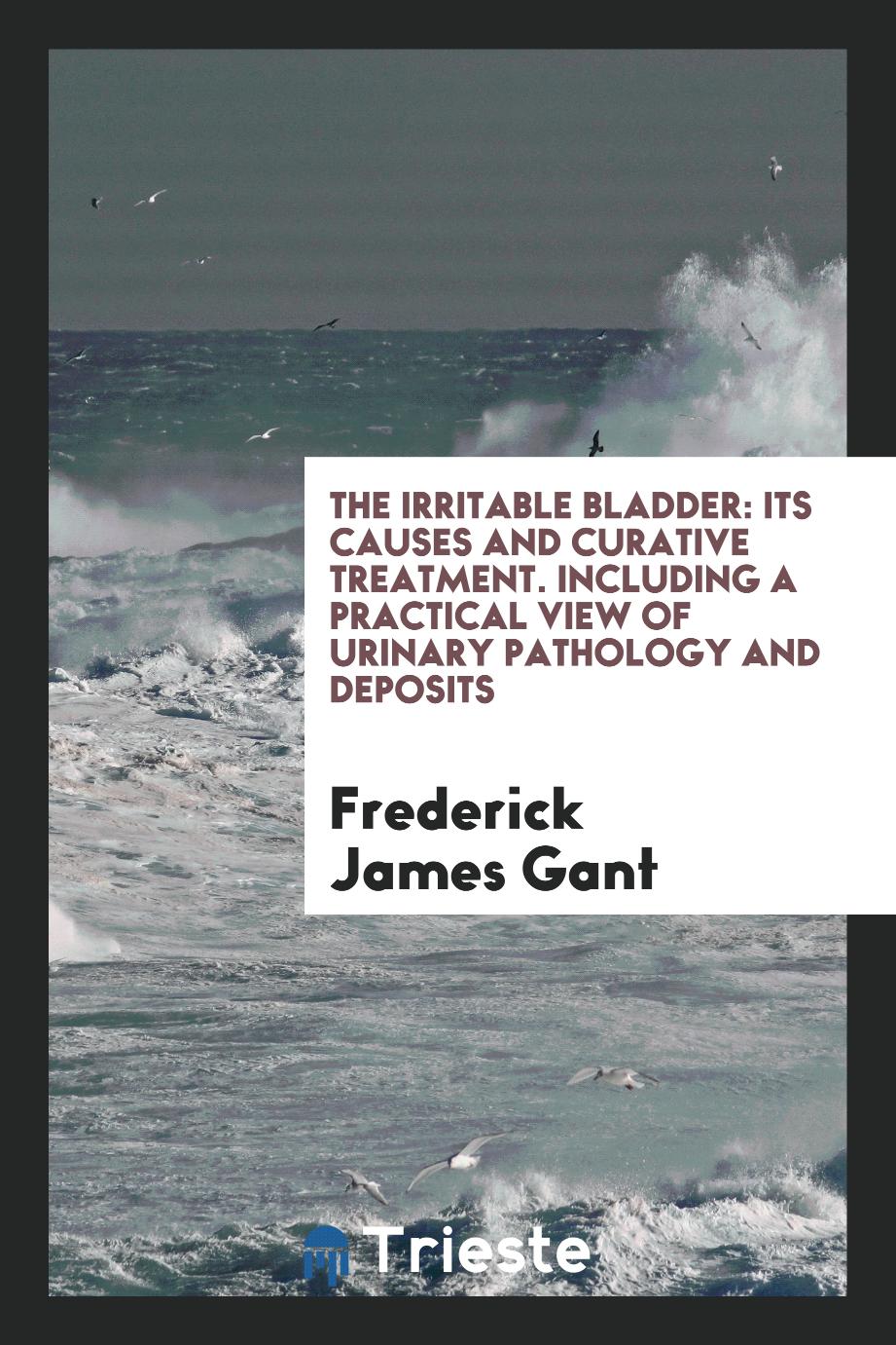 The Irritable Bladder: Its Causes and Curative Treatment. Including a Practical View of Urinary Pathology and Deposits