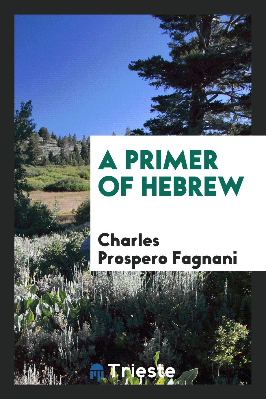A Primer of Hebrew