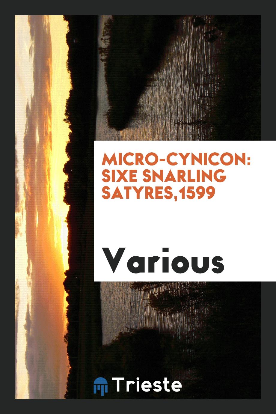 Micro-cynicon: sixe snarling satyres,1599