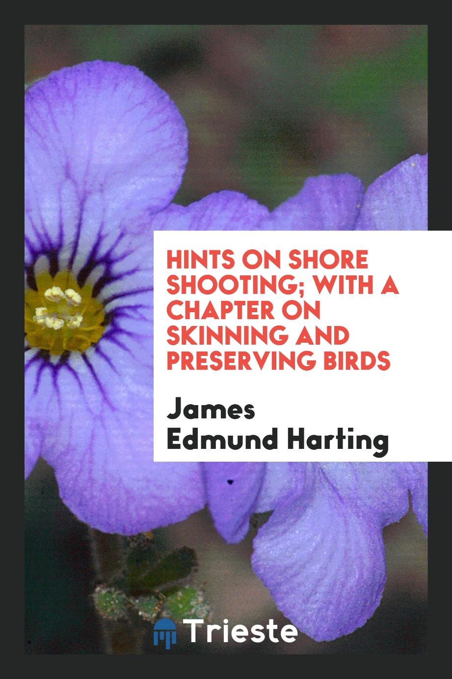 Hints on Shore Shooting; With a Chapter on Skinning and Preserving Birds