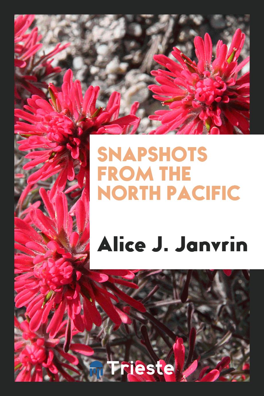 Snapshots from the North Pacific