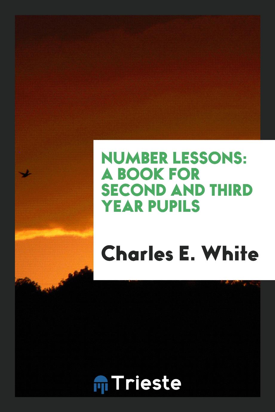 Number Lessons: A Book for Second and Third Year Pupils