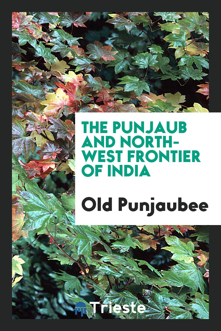 The Punjaub and North-West frontier of India