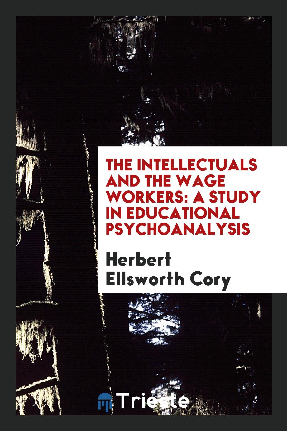 The intellectuals and the wage workers: a study in educational psychoanalysis