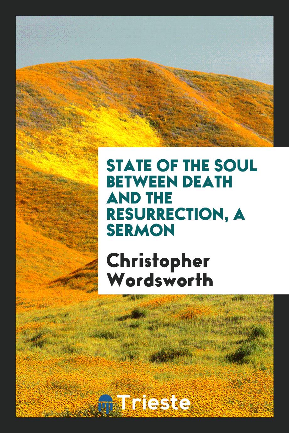 State of the soul between death and the Resurrection, a sermon