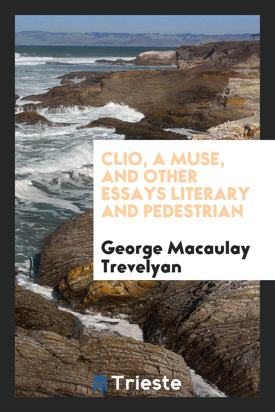Clio, a muse, and other essays literary and pedestrian