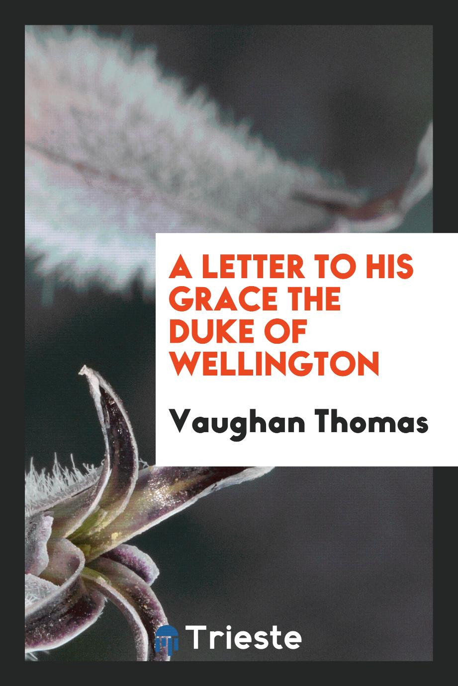 A letter to his grace the Duke of Wellington