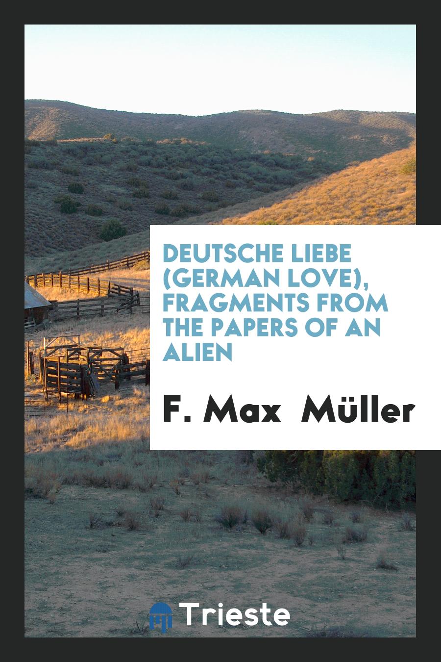Deutsche Liebe (German Love), Fragments from the Papers of an Alien