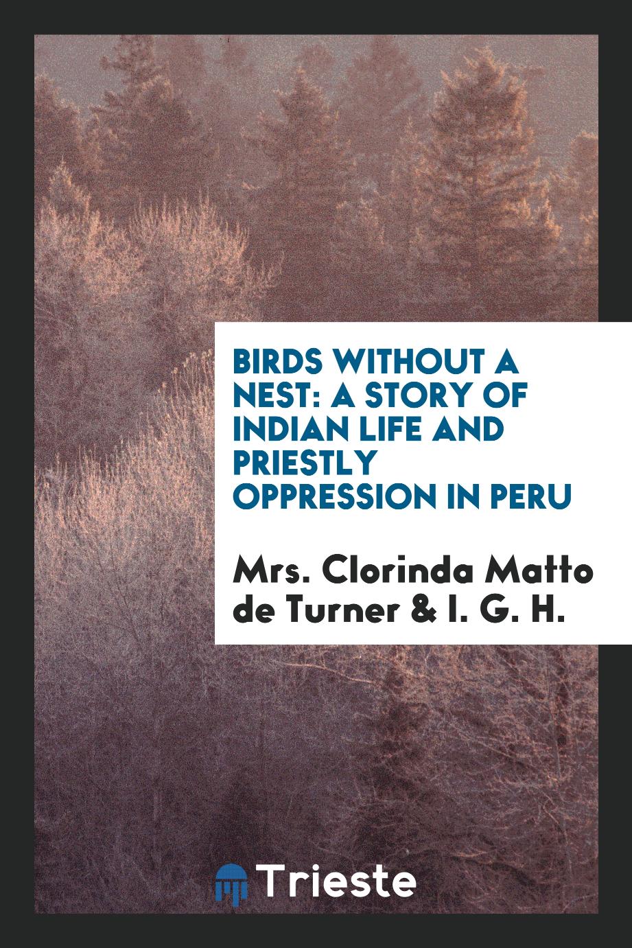 Birds Without a Nest: A Story of Indian Life and Priestly Oppression in Peru