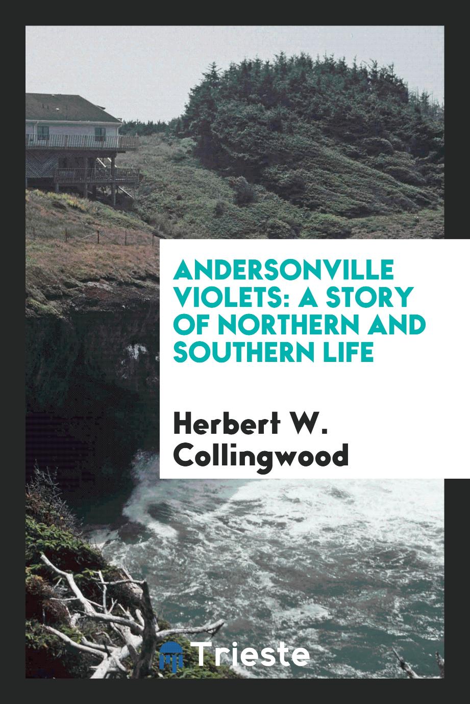 Andersonville violets: a story of northern and southern life