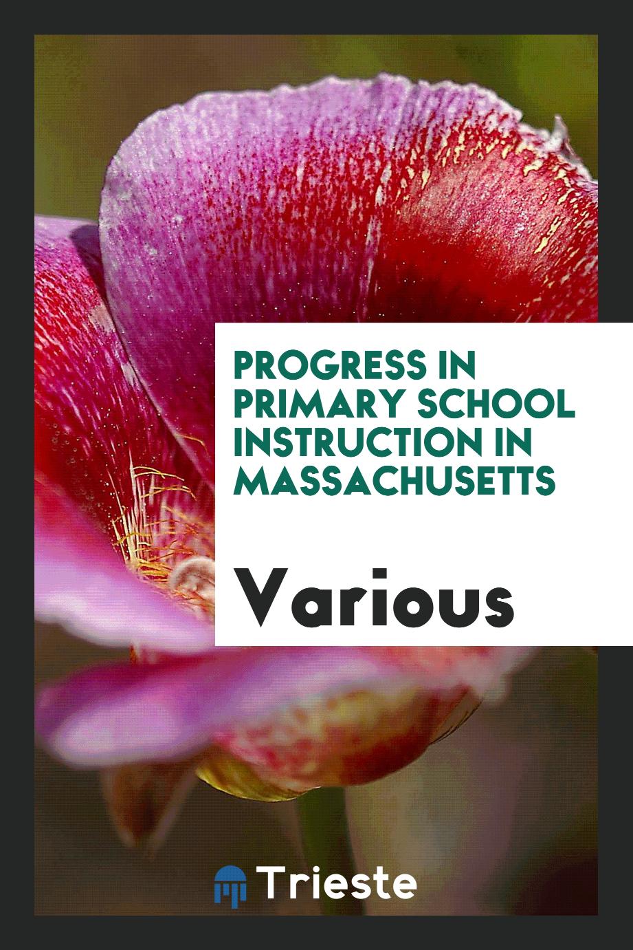 Progress in Primary School Instruction in Massachusetts