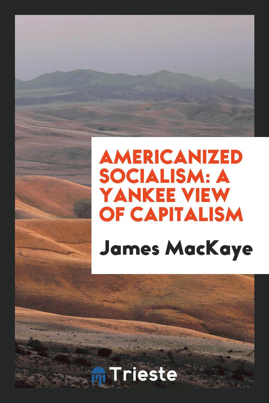 Americanized Socialism: A Yankee View of Capitalism