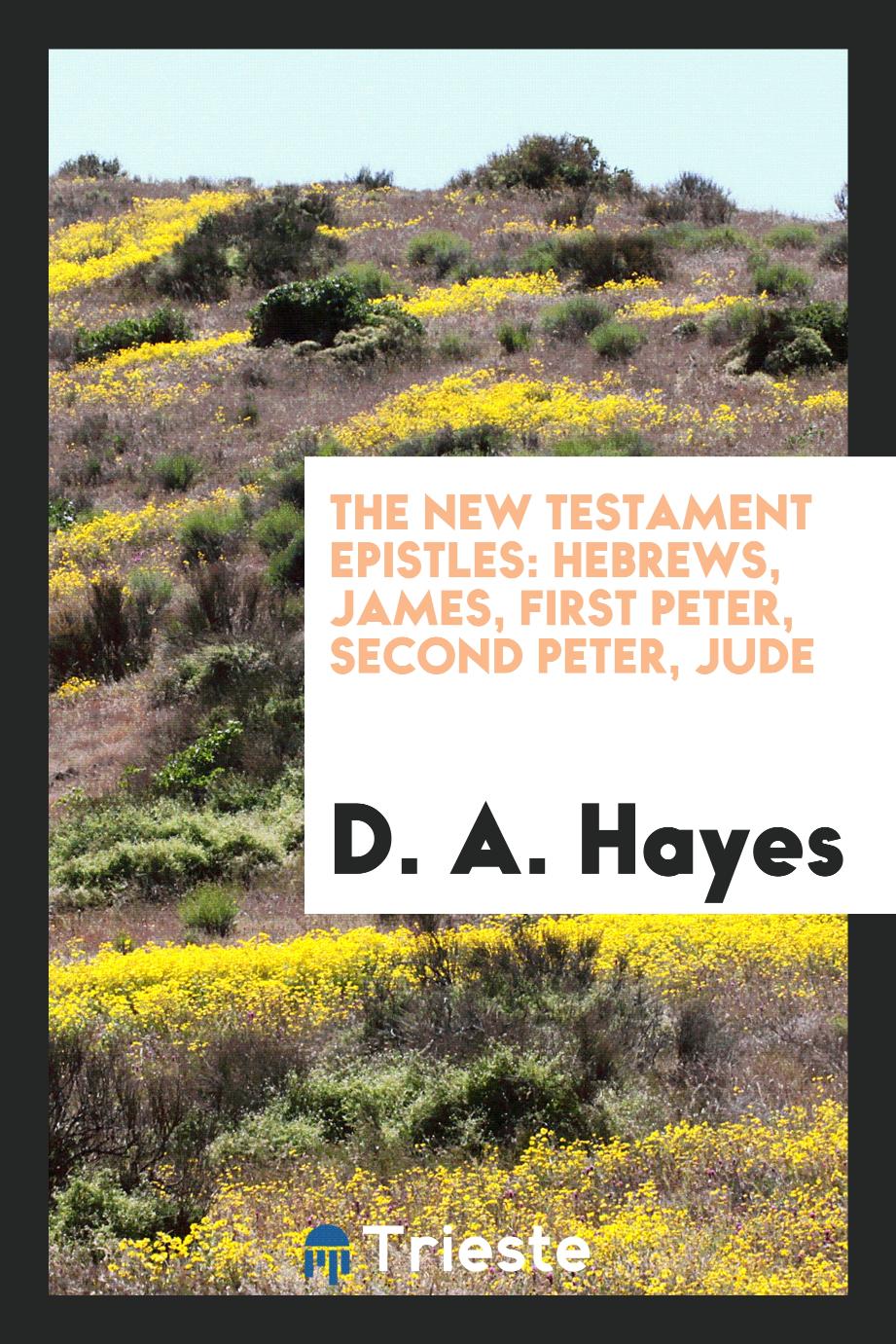 The New Testament epistles: Hebrews, James, First Peter, Second Peter, Jude