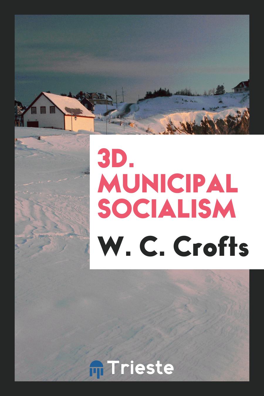 3d. Municipal socialism