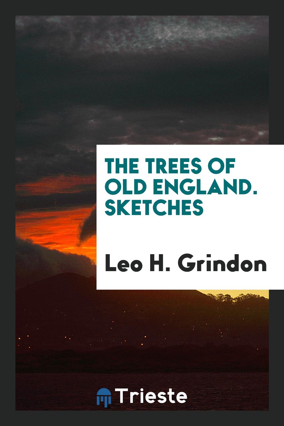 The Trees of Old England. Sketches