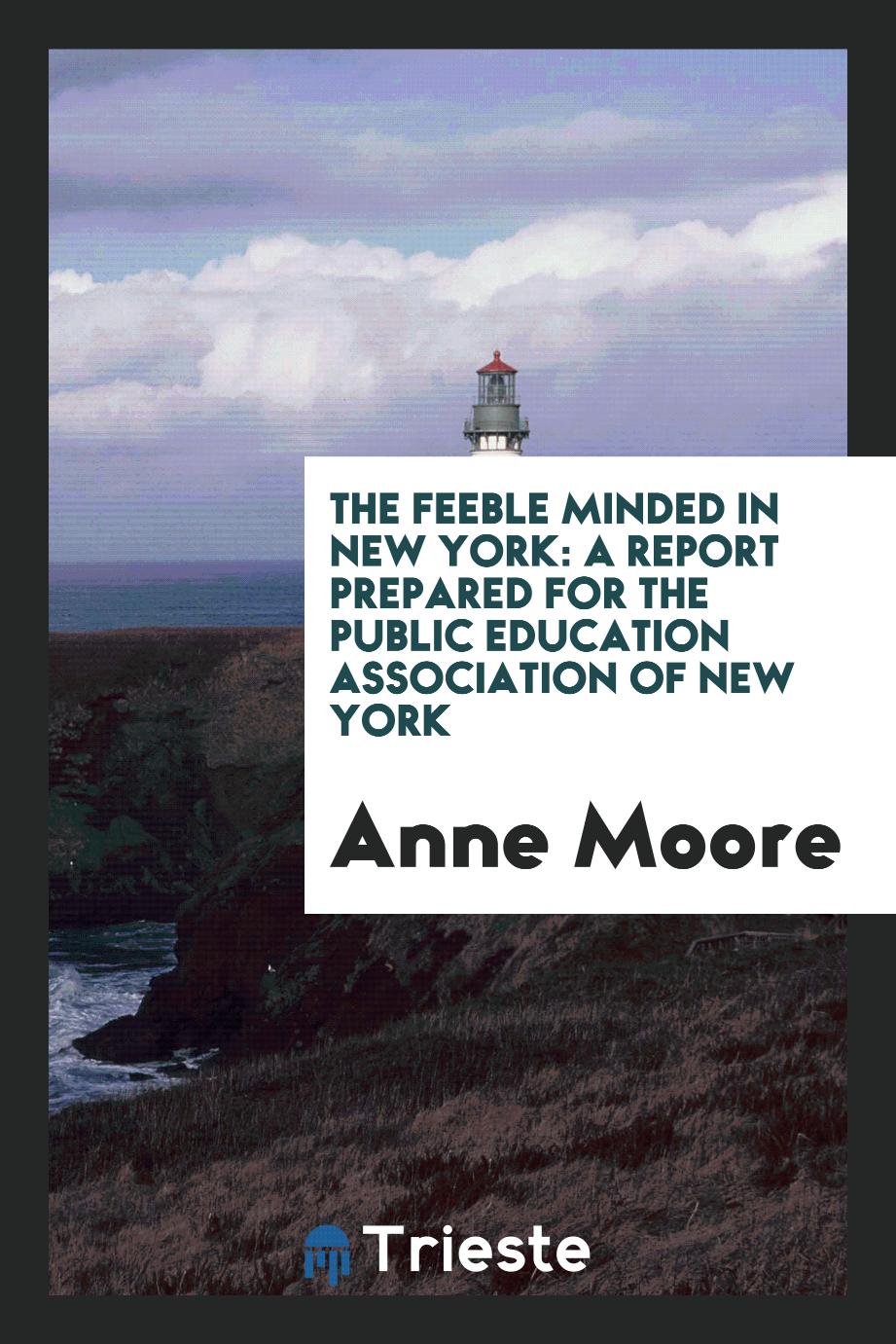 The Feeble Minded in New York: A Report Prepared for the Public Education Association of New York