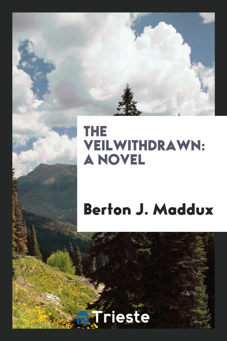 The Veilwithdrawn: A Novel