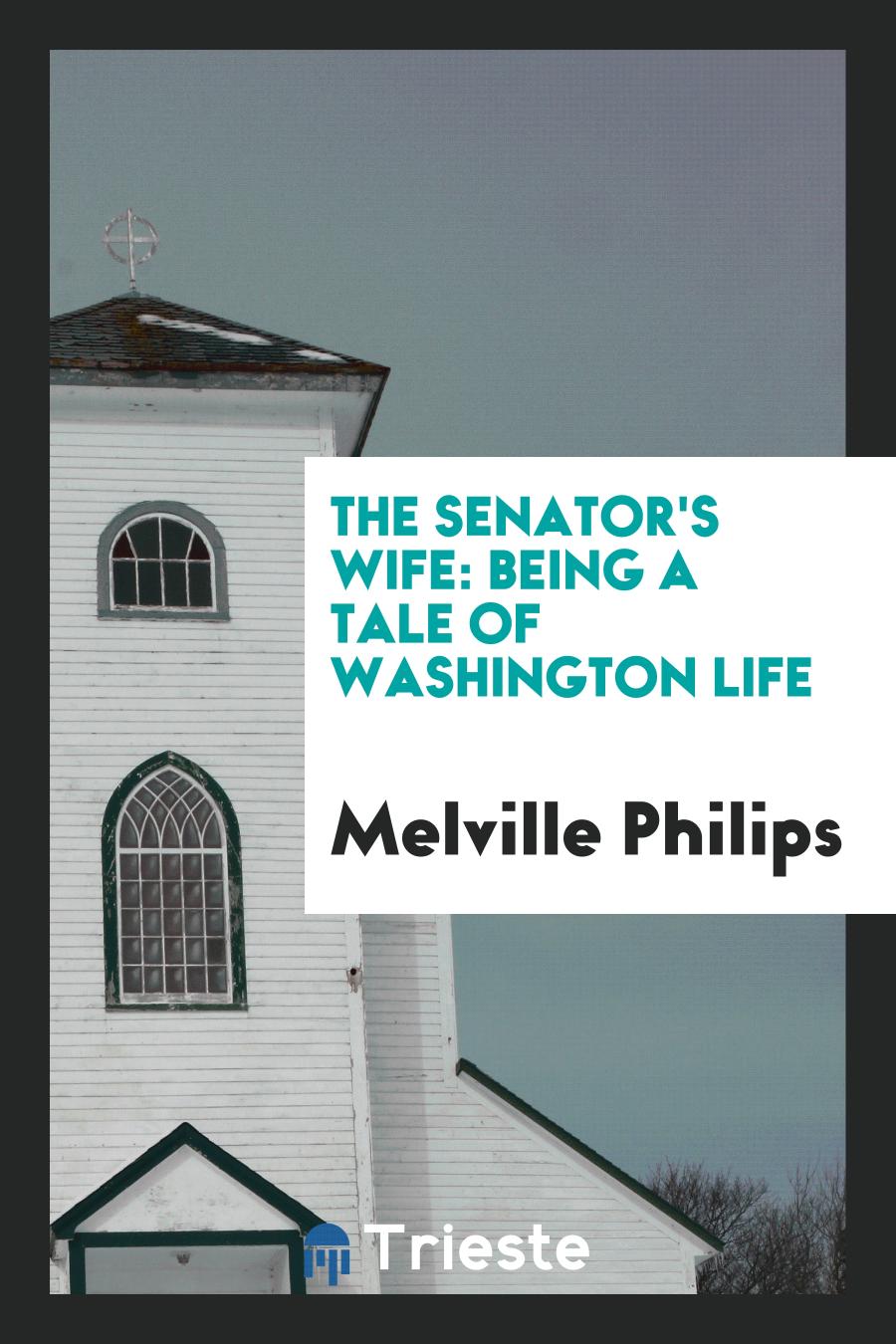 The Senator's wife: being a tale of Washington life