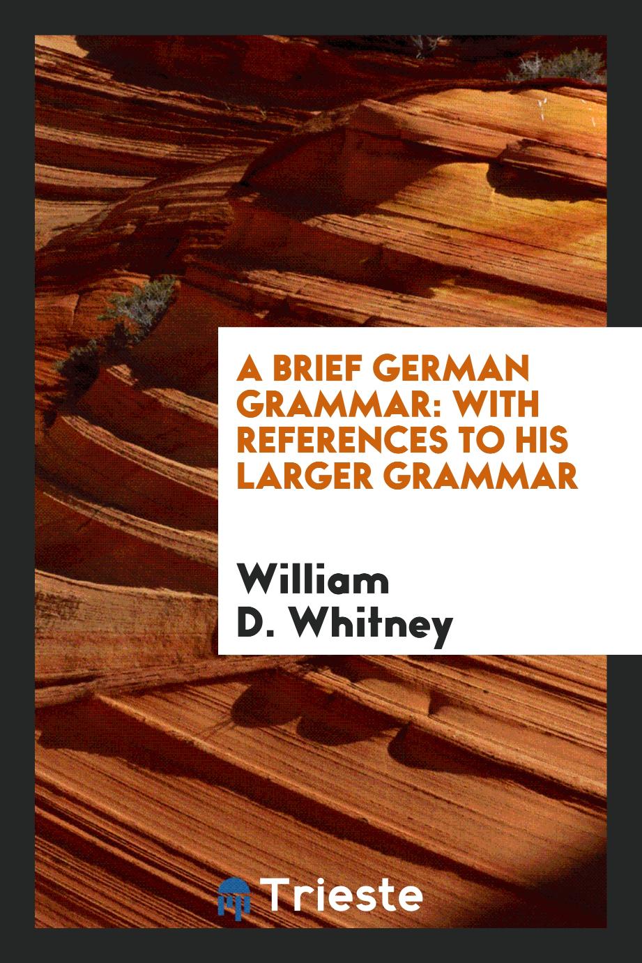 A Brief German Grammar: With References to His Larger Grammar