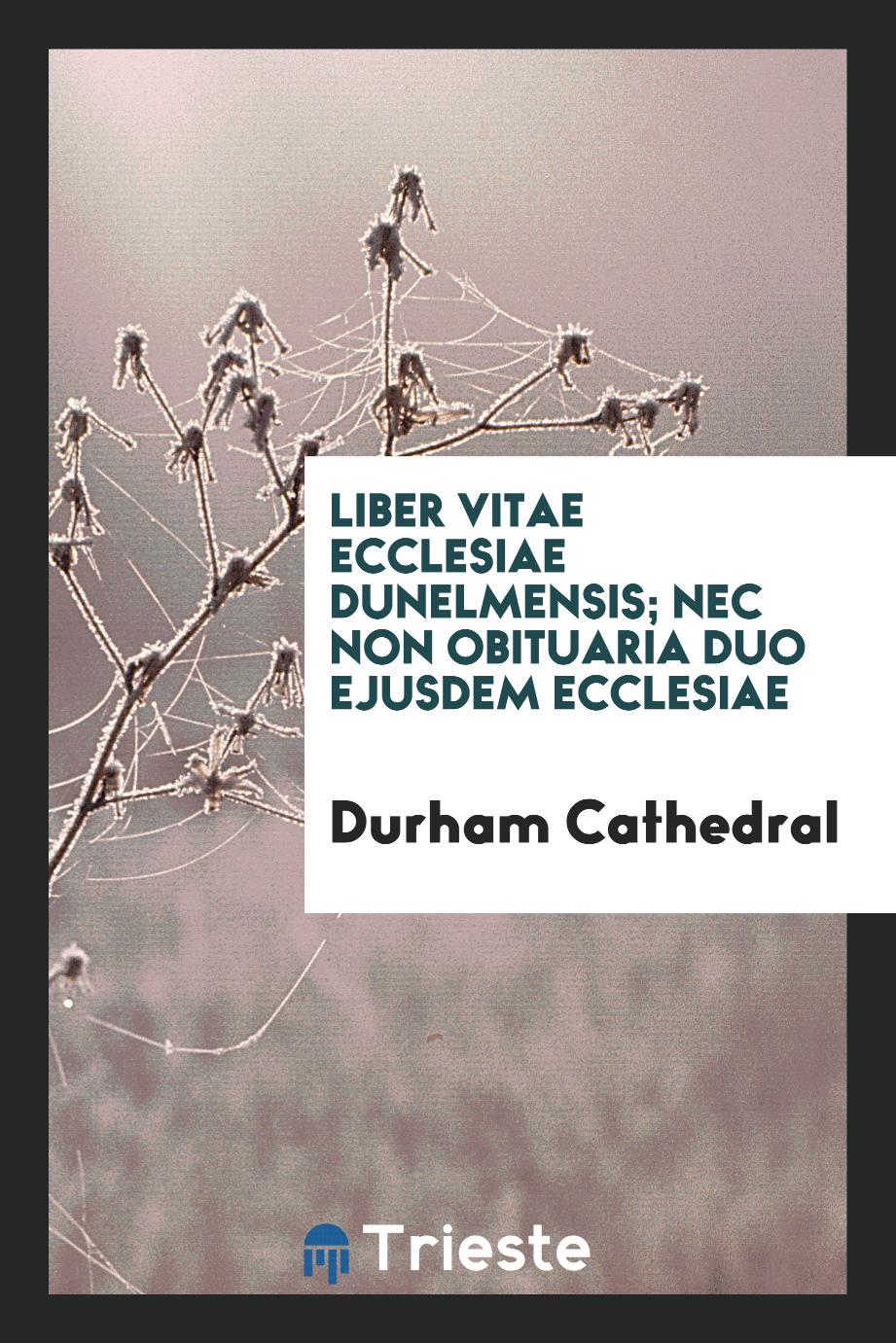 Liber Vitae Ecclesiae Dunelmensis; Nec Non Obituaria Duo Ejusdem Ecclesiae