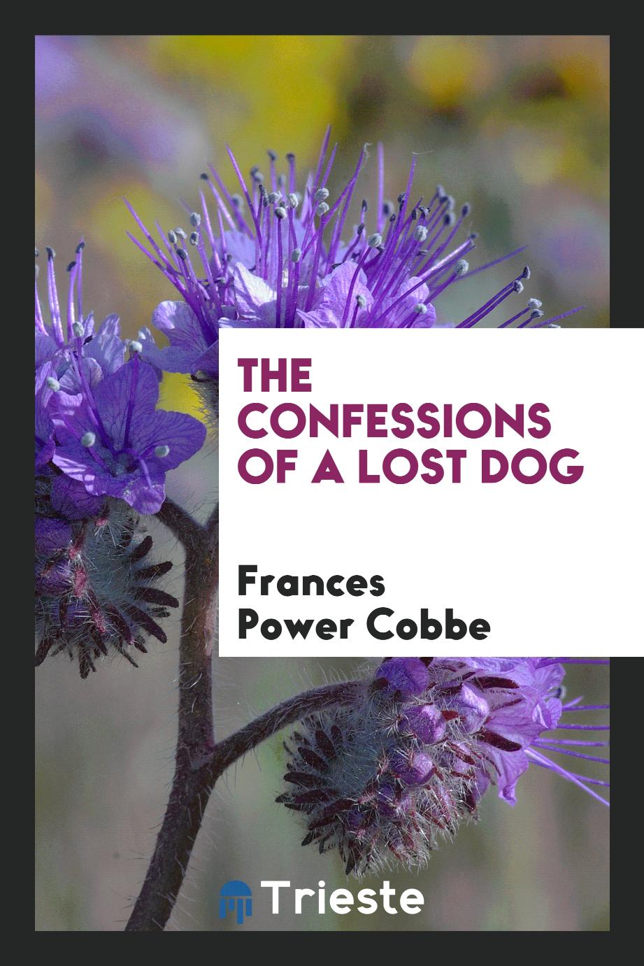The confessions of a lost dog
