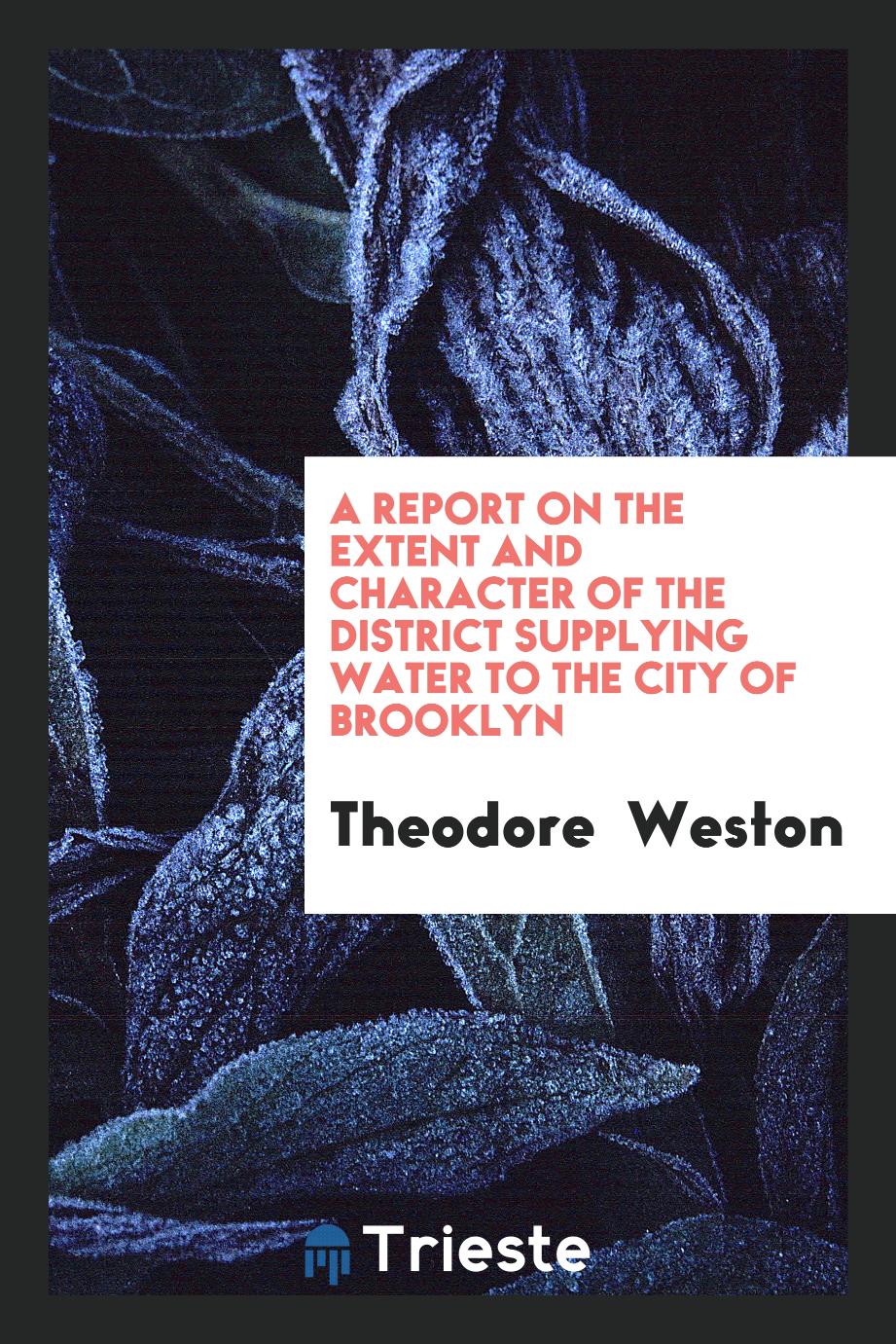 A Report on the Extent and Character of the District Supplying Water to the City of Brooklyn