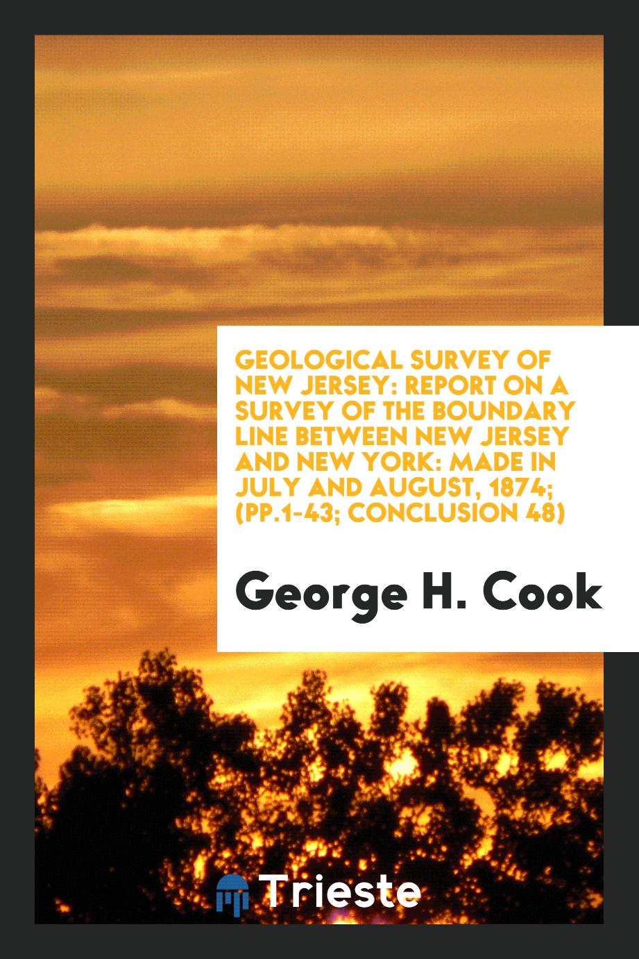 Geological Survey of New Jersey: Report on a Survey of the Boundary Line Between New Jersey and New York: Made in July and August, 1874; (pp.1-43; conclusion 48)