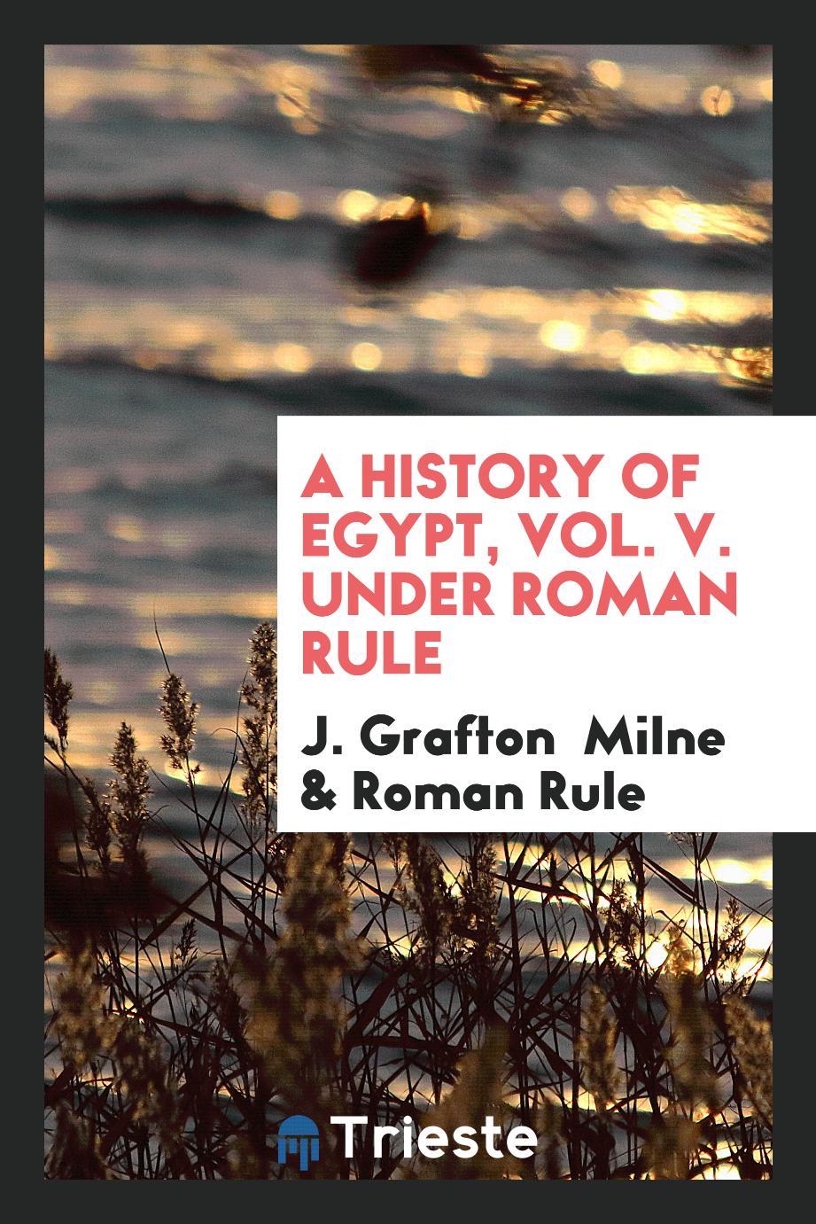 A History of Egypt, Vol. V. Under Roman Rule