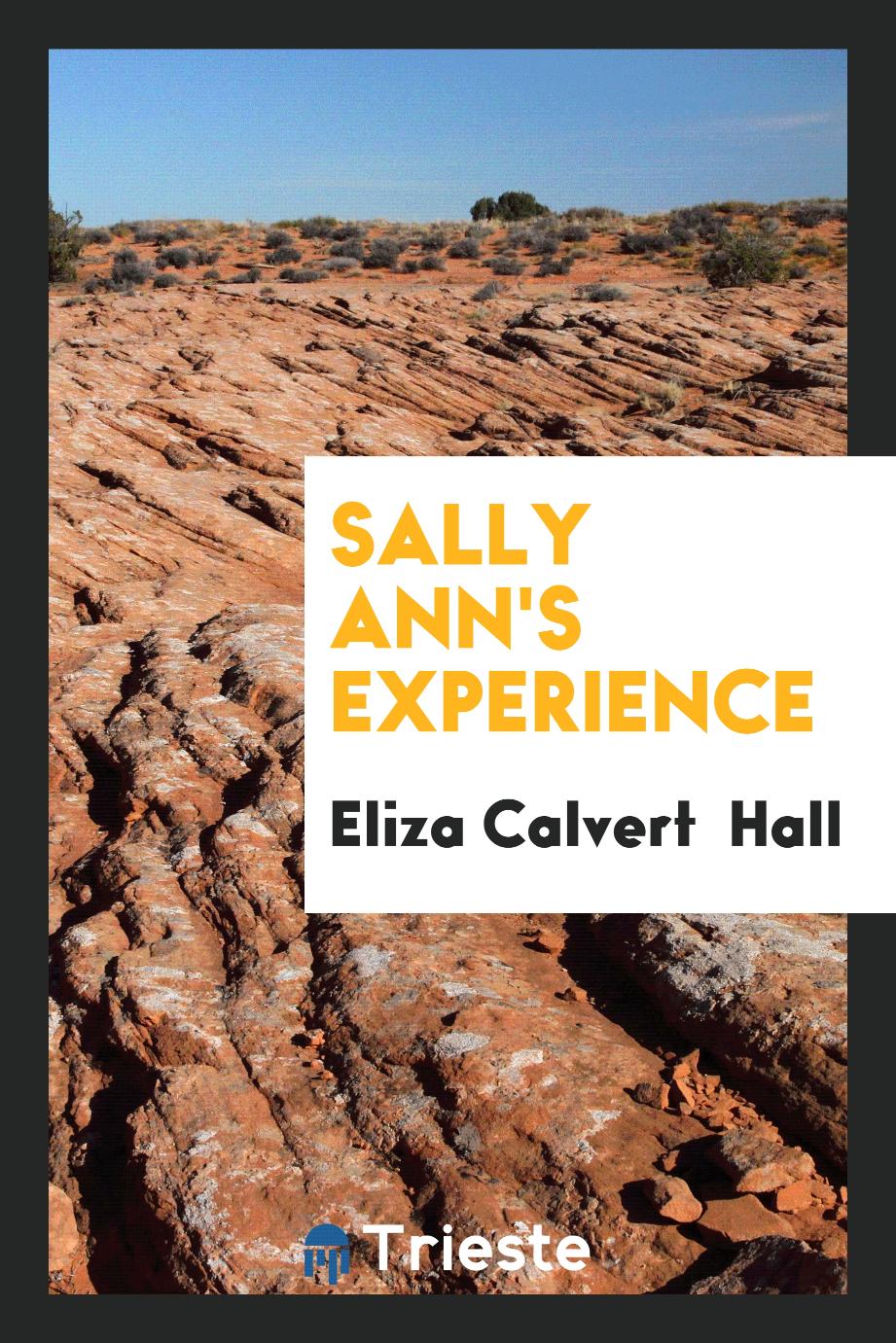 Sally Ann's Experience