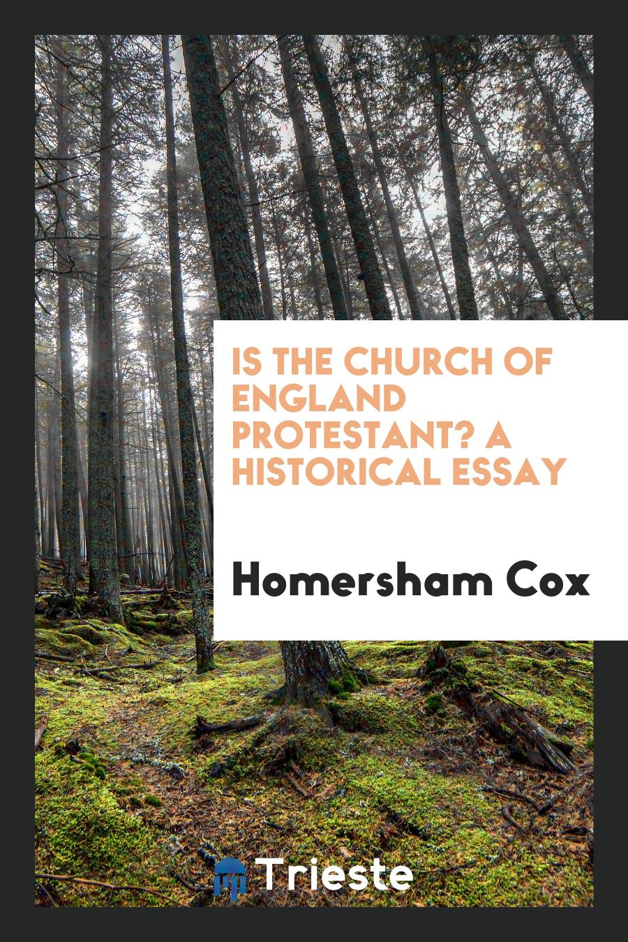 Is the Church of England Protestant? A historical essay