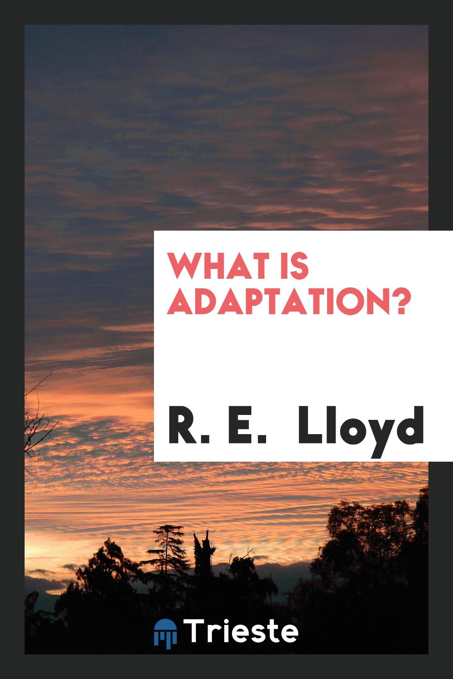 What is Adaptation?