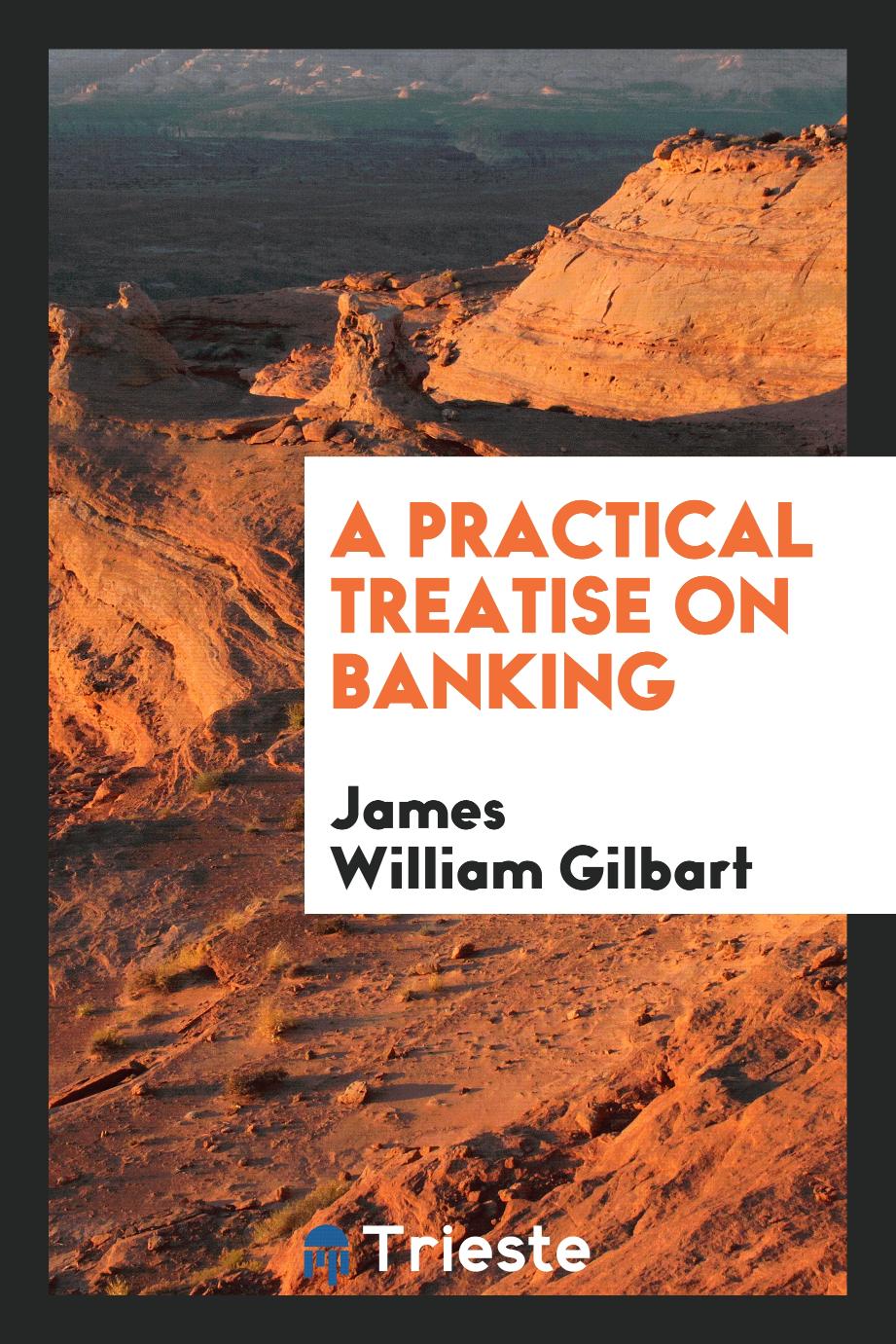 A Practical Treatise on Banking