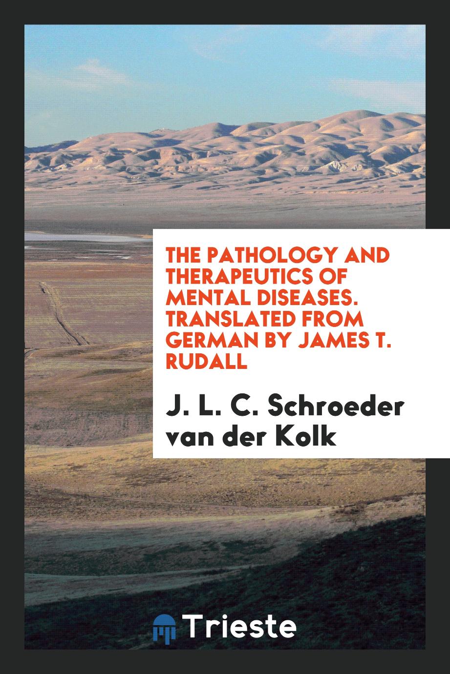 The Pathology and Therapeutics of Mental Diseases. Translated from German by James T. Rudall