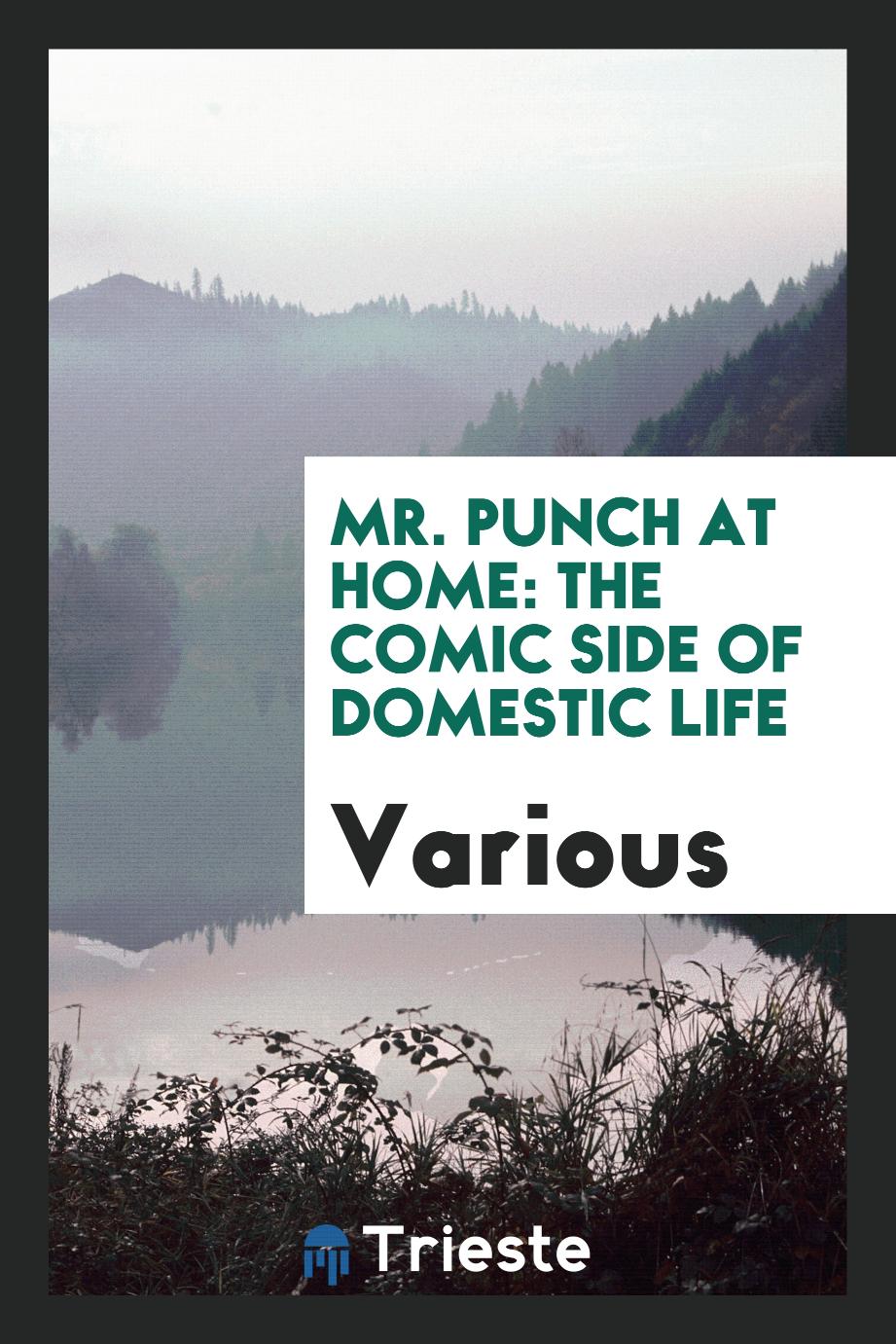 Mr. Punch at home: the comic side of domestic life