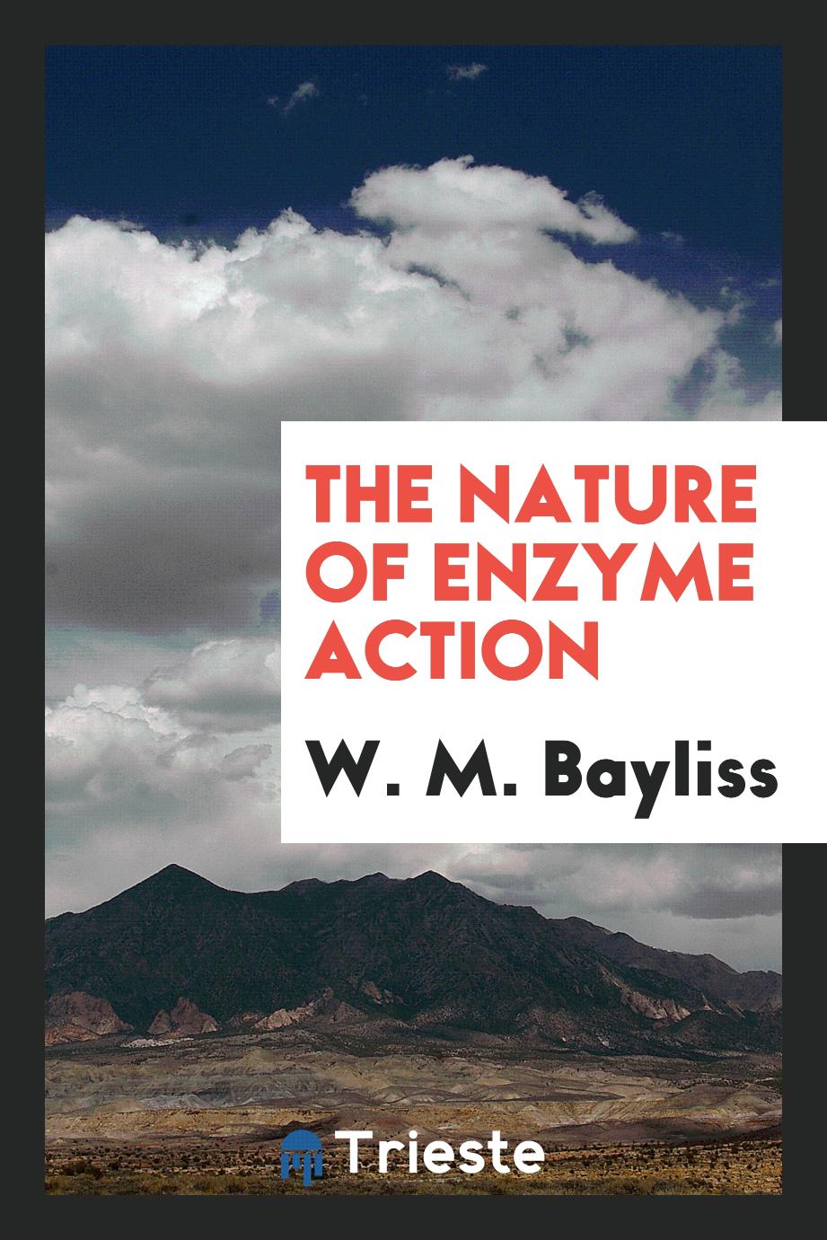 The nature of enzyme action