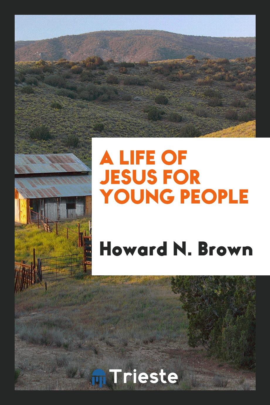 A Life of Jesus for Young People